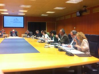 Reunión de la Comisión de Derechos Humanos del Parlamento de Gasteiz. (@gara_iiriondo)