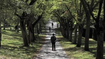 Posterra_pieza_irunea_nafarroako_unibertsitatea